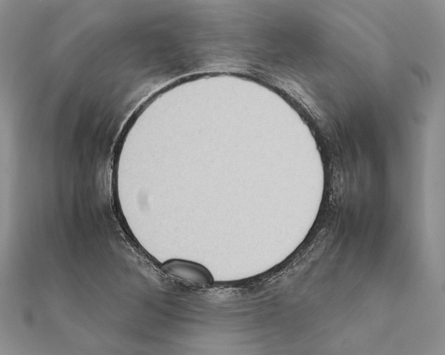 X0000111371268200908211310