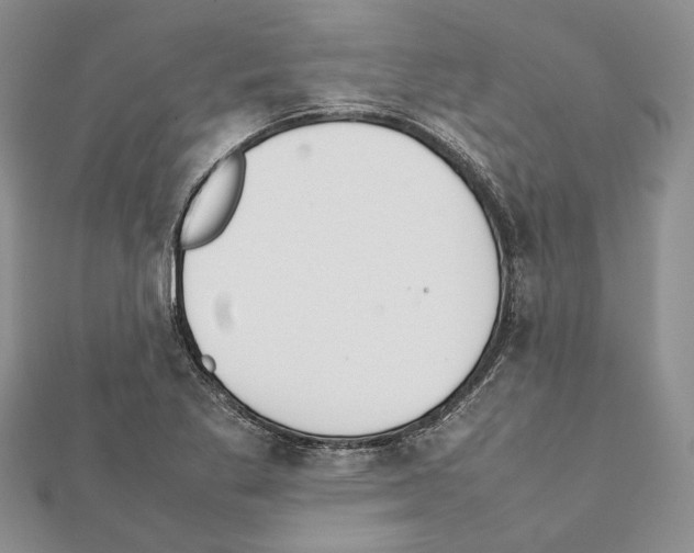 X0000111371269200908211310