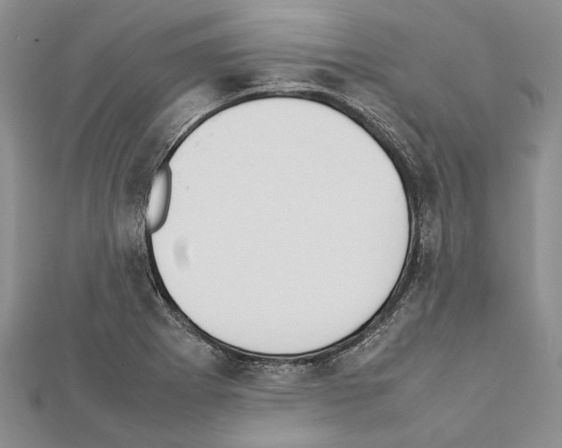 X0000111371273200908211310