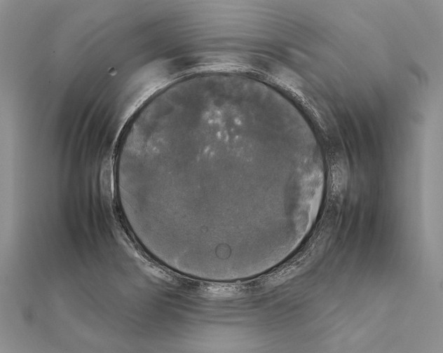 X0000111371274200908211310