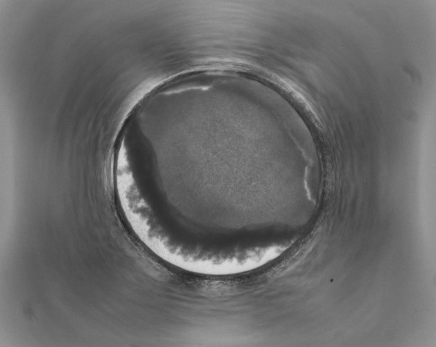 X0000111371275200908211310