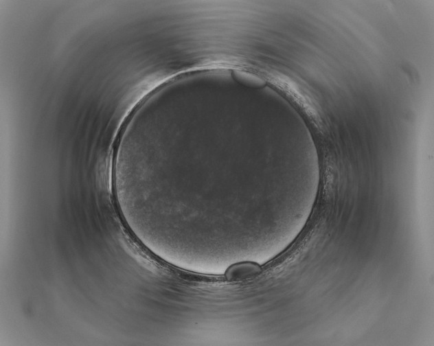 X0000111371276200908211310
