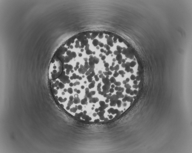 X0000111371277200908211310