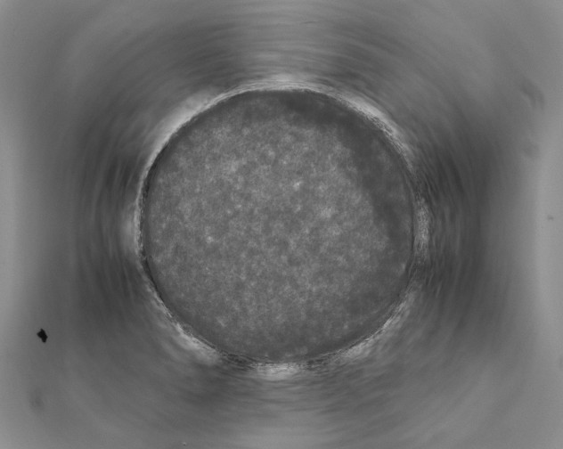 X0000111371278200908211310