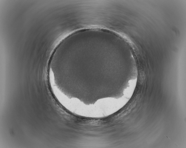 X0000111371279200908211310