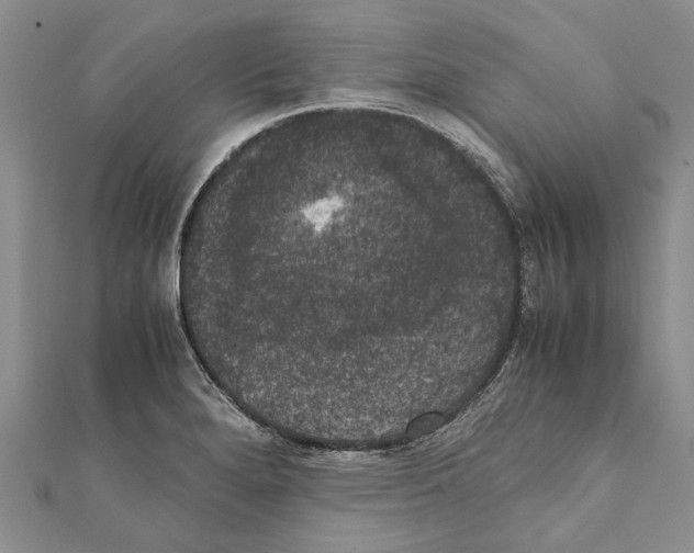 X0000111371280200908211310