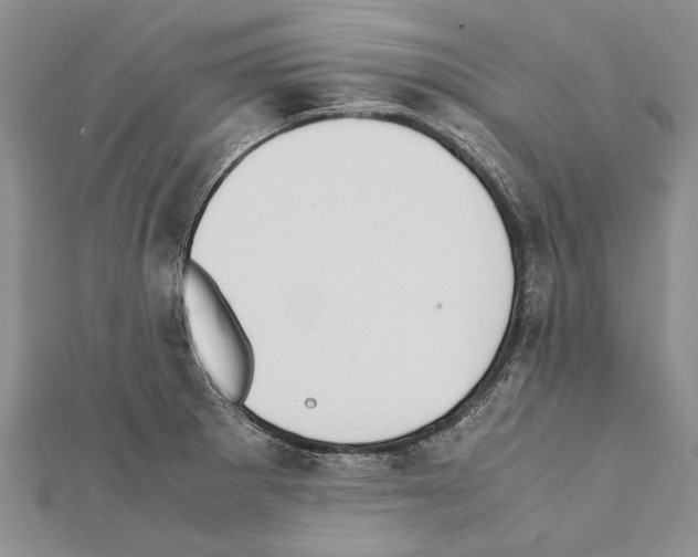 X0000111371281200908211310