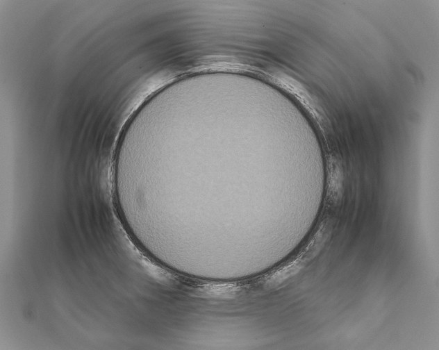 X0000111371282200908211310