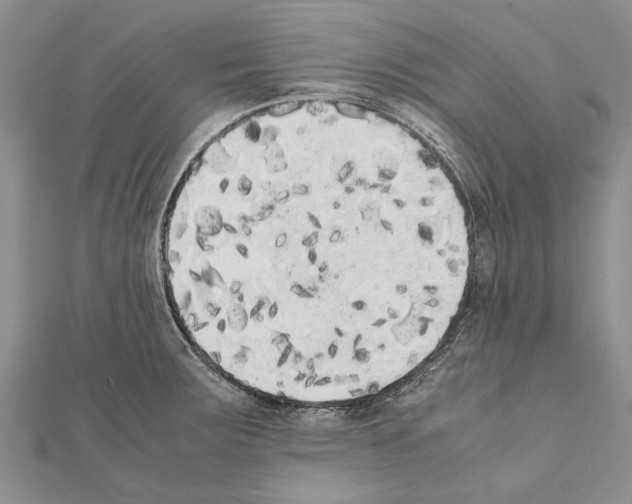 X0000111371283200908211310