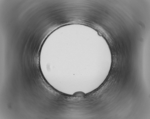 X0000111371284200908211310