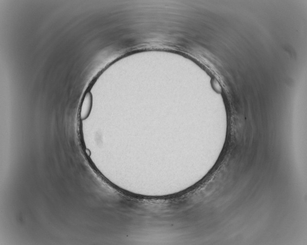 X0000111371285200908211310