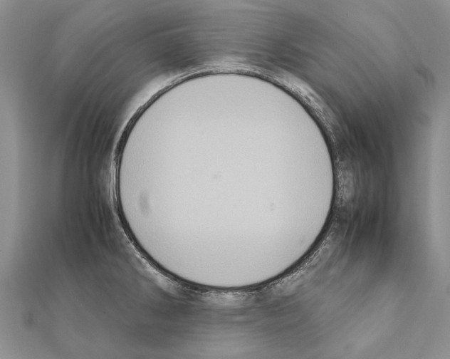 X0000111371286200908211310