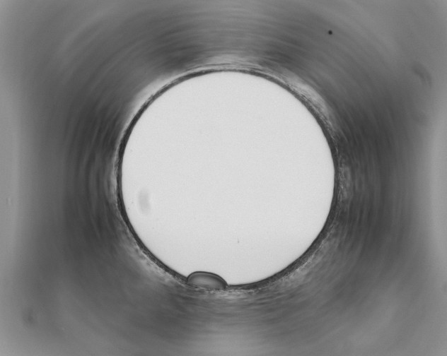 X0000111371288200908211310