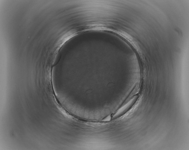 X0000111371289200908211310