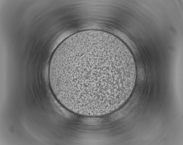 X0000111371290200908211310
