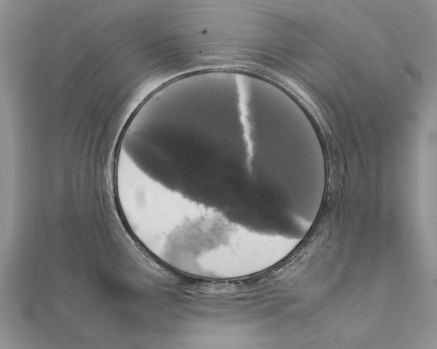 X0000111371291200908211310