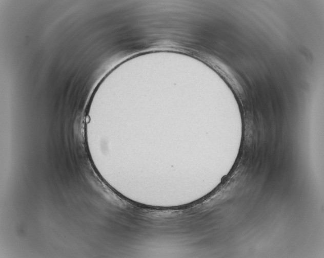 X0000111371292200908211310