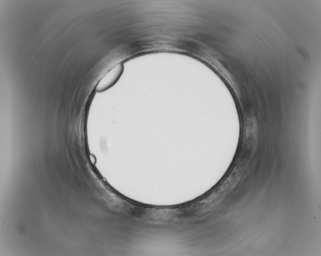 X0000111371293200908211310