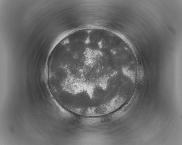 X0000111371294200908211310