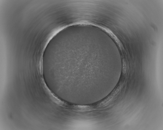 X0000111371295200908211310