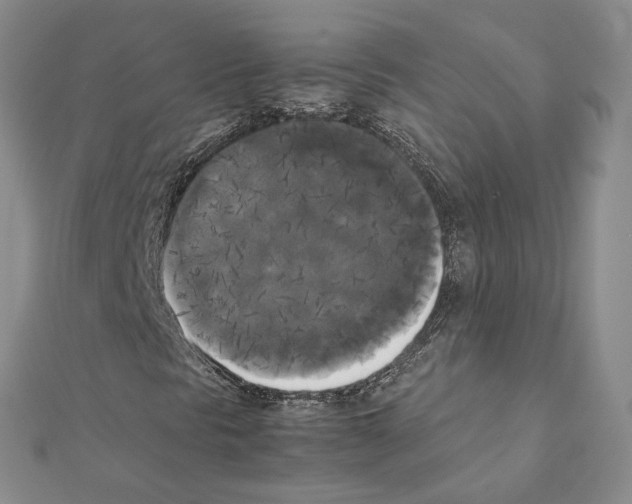 X0000111371297200908211309