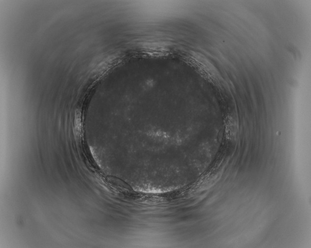 X0000111371298200908211309