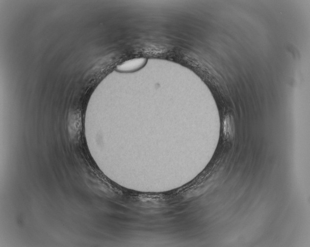 X0000111371299200908211309