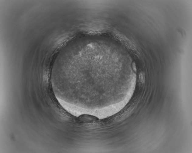 X0000111371300200908211309