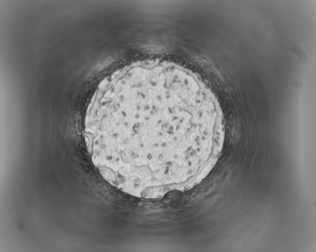 X0000111371301200908211309