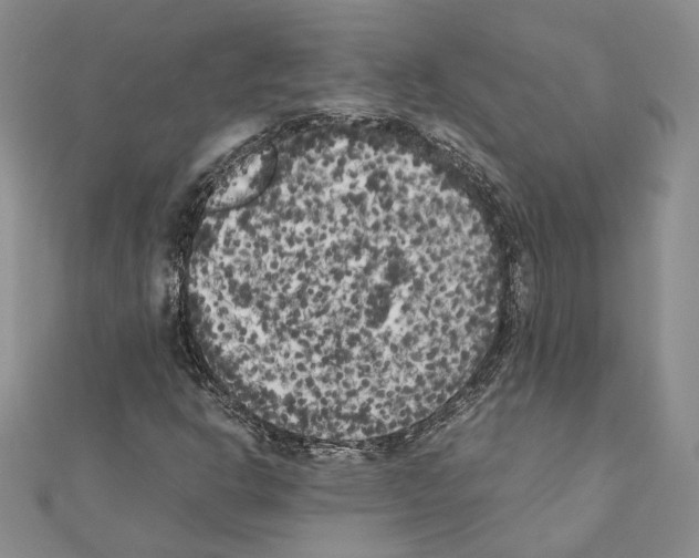 X0000111371302200908211309