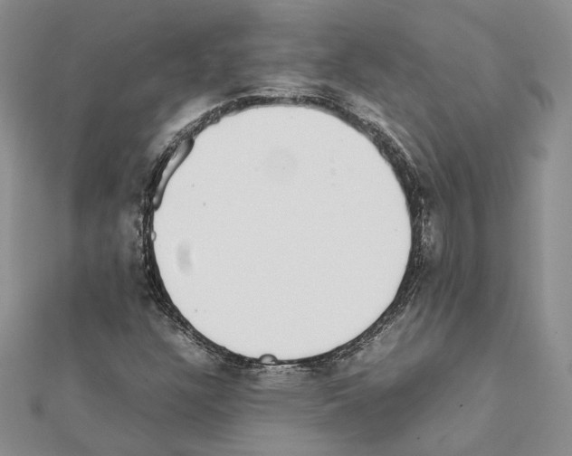 X0000111371304200908211309