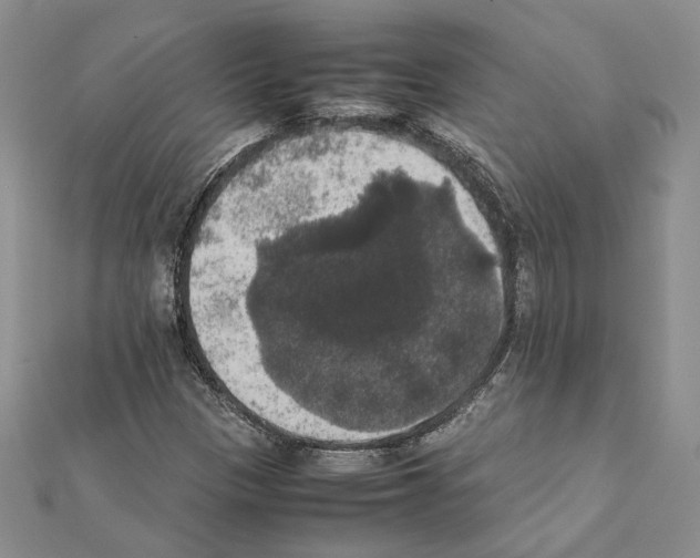 X0000111371305200908211309