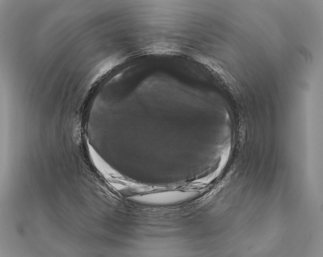 X0000111371306200908211309