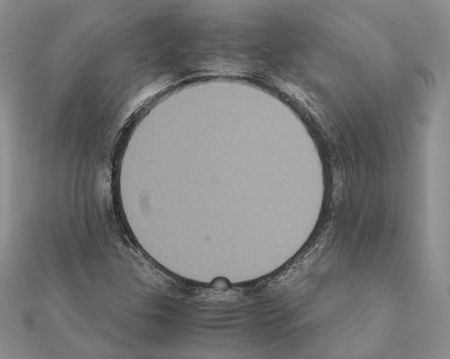 X0000111371307200908211309