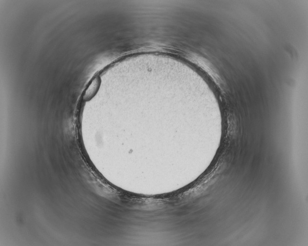 X0000111371308200908211309