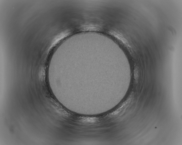 X0000111371309200908211309
