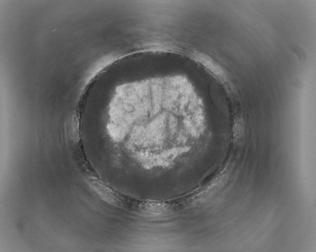 X0000111371310200908211309