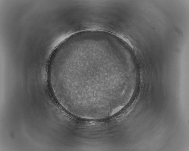 X0000111371311200908211309