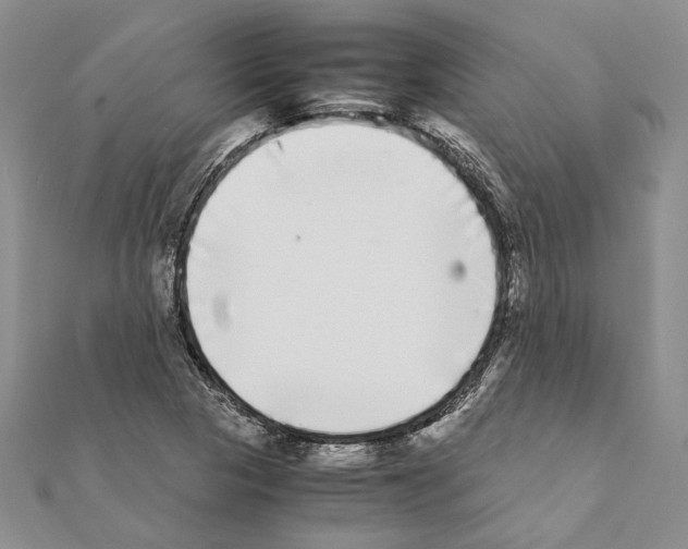 X0000111371313200908211309