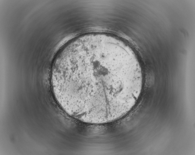 X0000111371314200908211309