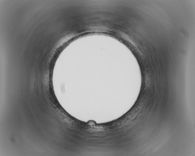 X0000111371315200908211309