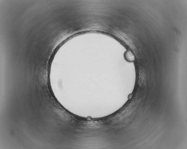 X0000111371316200908211309