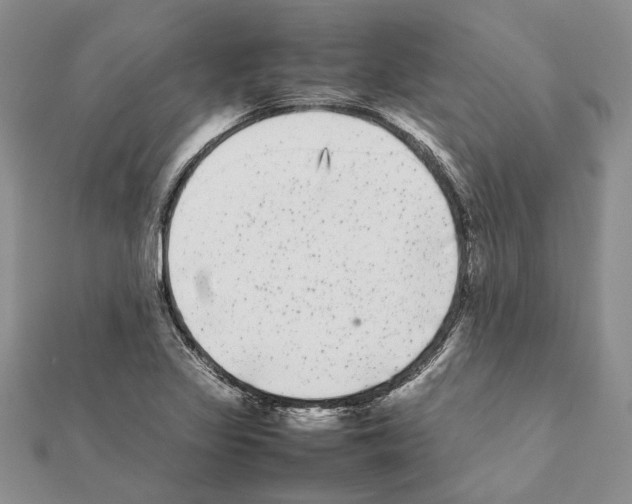 X0000111371317200908211309