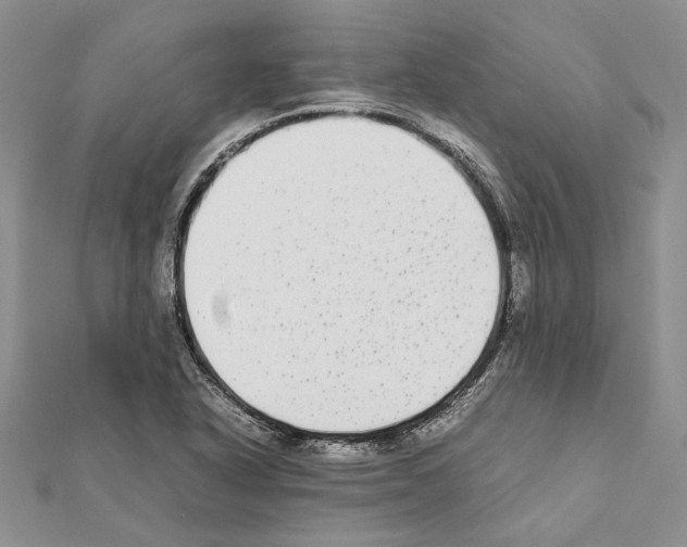 X0000111371318200908211310