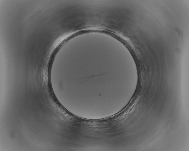 X0000111371319200908211310