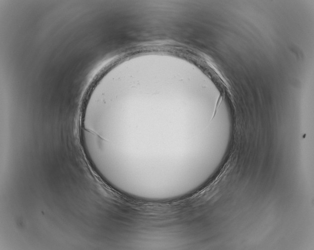 X0000111371320200908211310