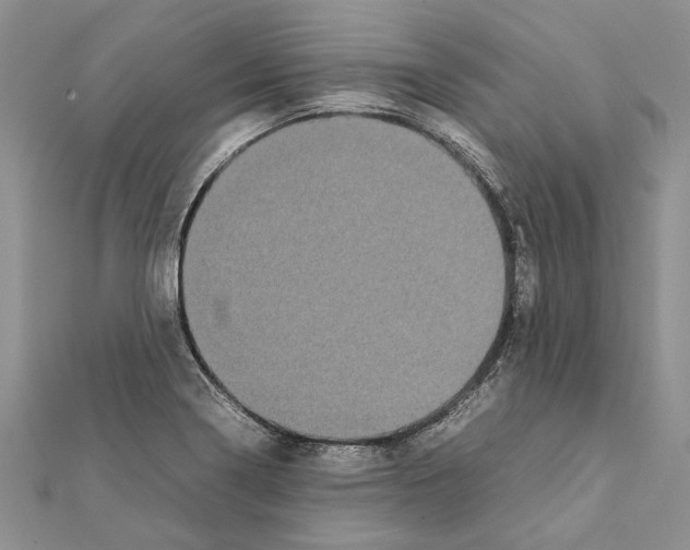 X0000111371322200908211310