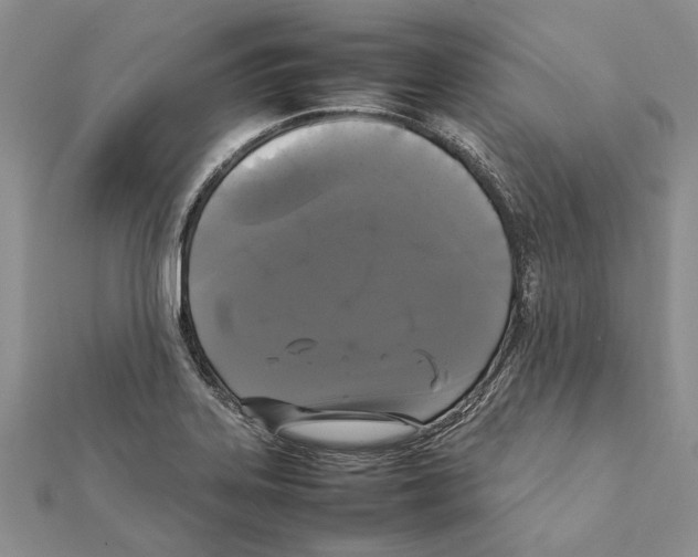 X0000111371323200908211310