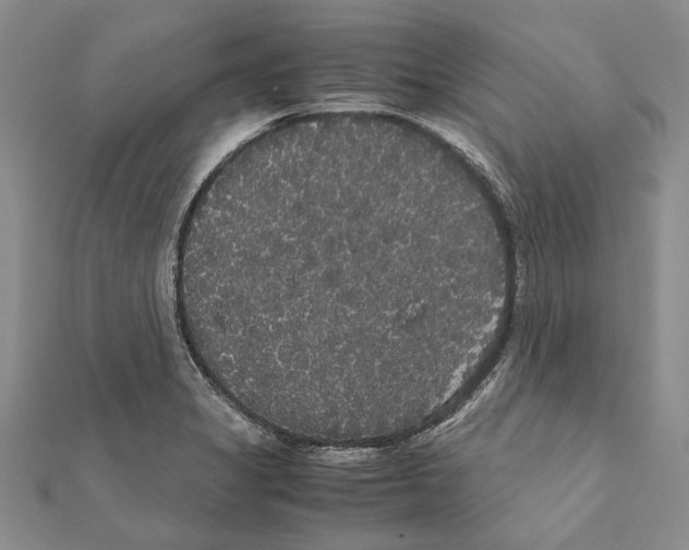 X0000111371325200908211310