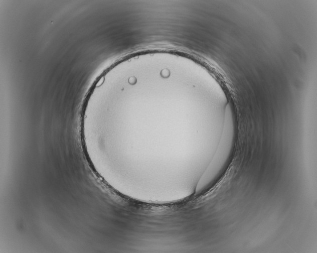 X0000111371326200908211310